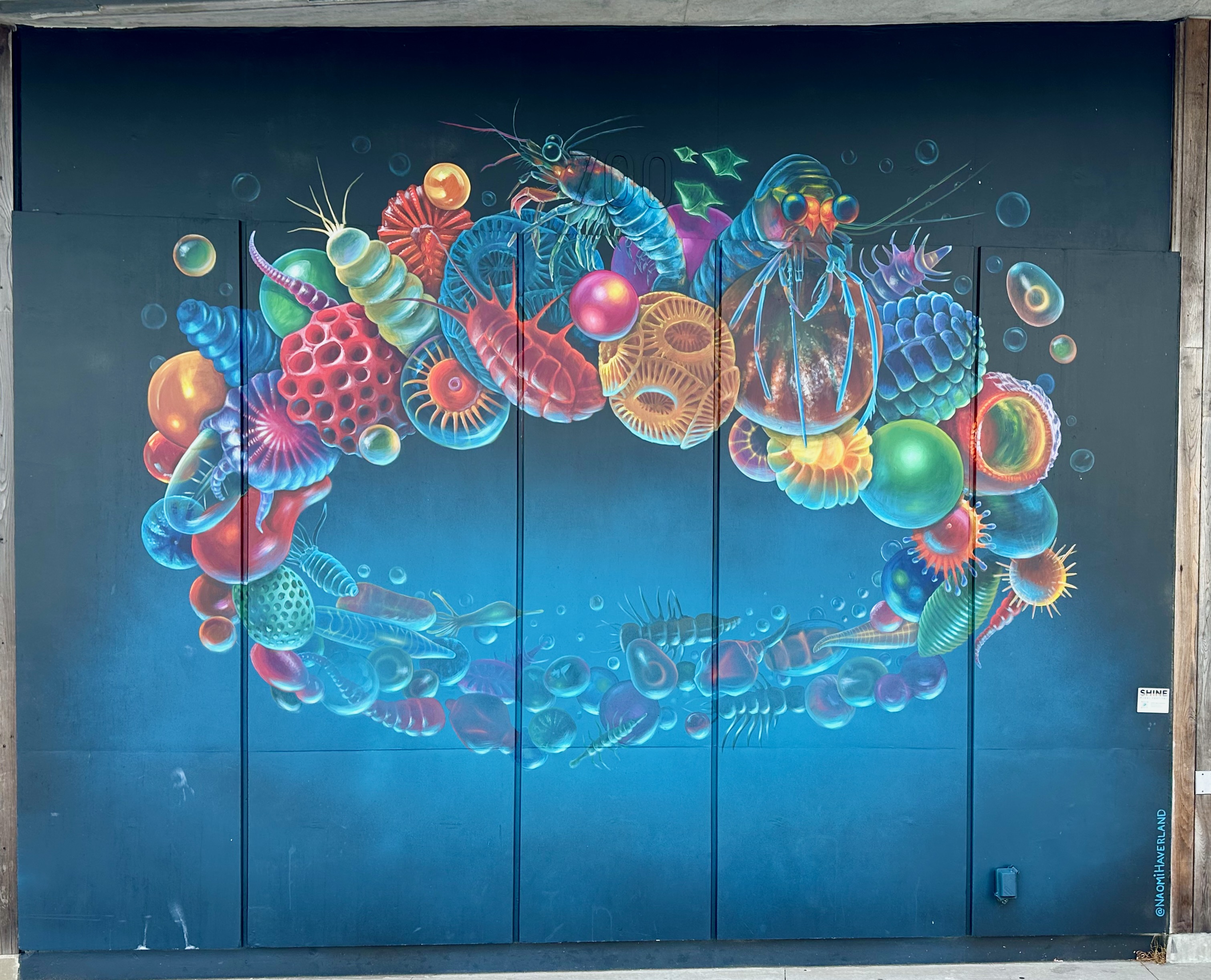 Haverford plankton and microorganisms
